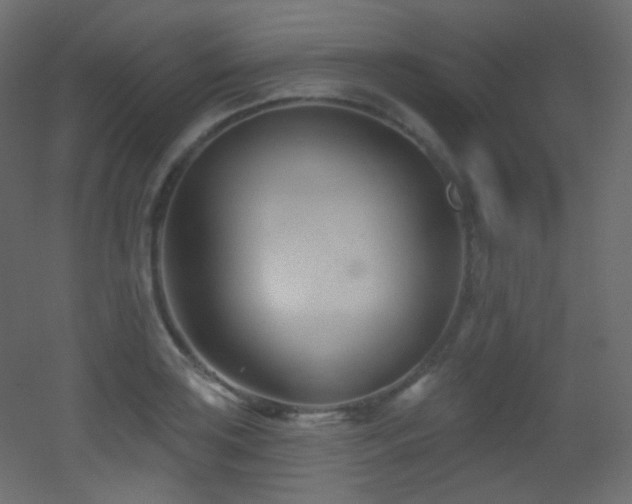 X0000053161035200507111502