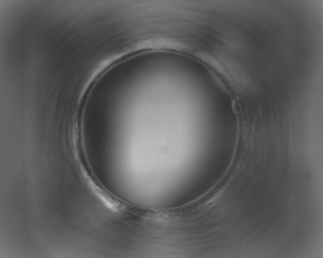 X0000053161040200507111502