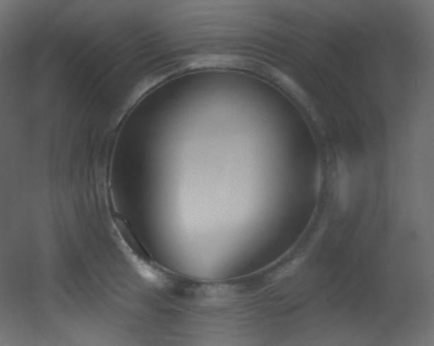 X0000053161041200507111502