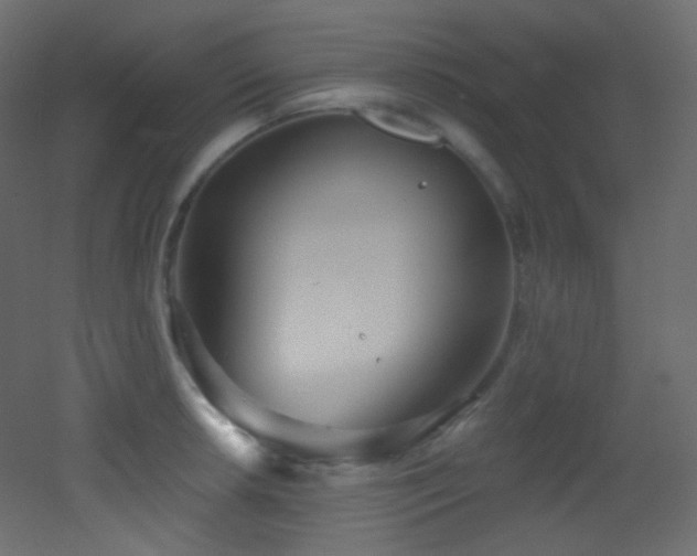 X0000053161042200507111502