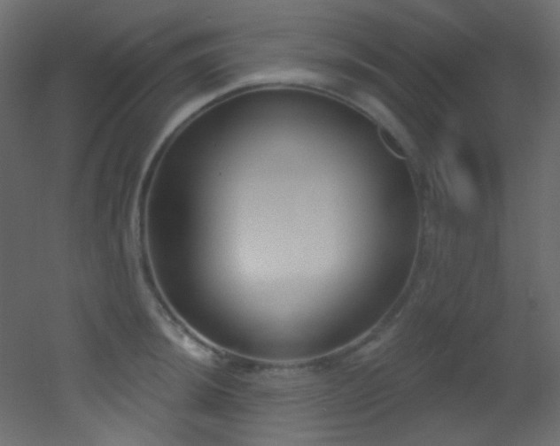 X0000053161044200507111502