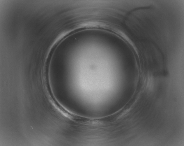 X0000053161045200507111502