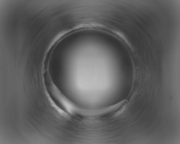 X0000053161046200507111502