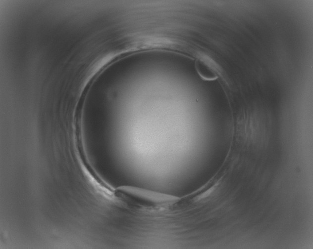X0000053161047200507111502