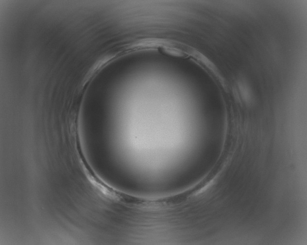 X0000053161049200507111502