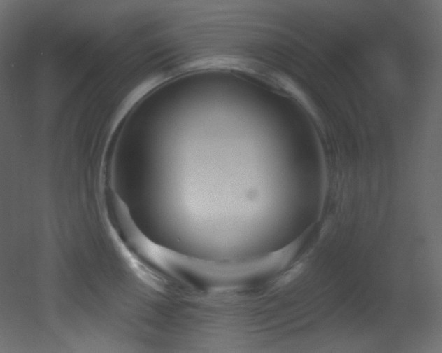 X0000053161050200507111502