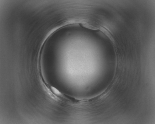 X0000053161052200507111502