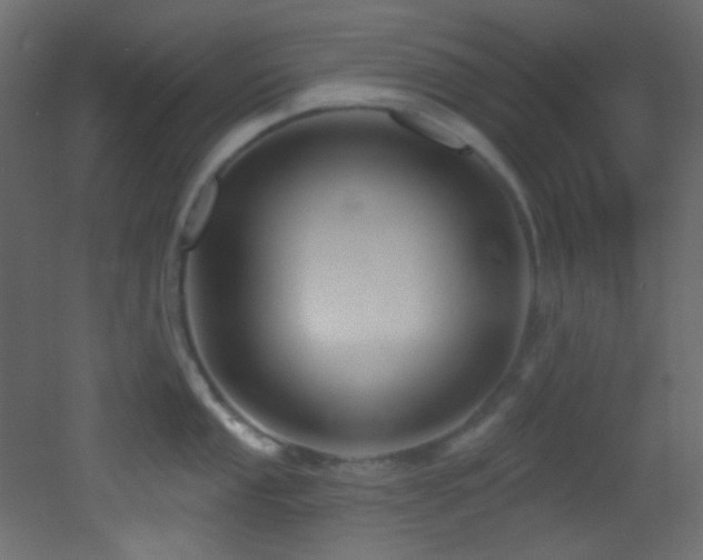 X0000053161053200507111502