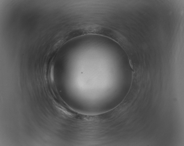X0000053161058200507111501