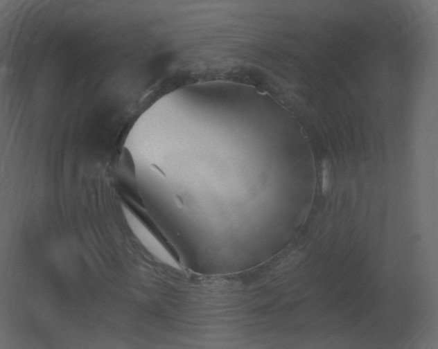 X0000053161059200507111501