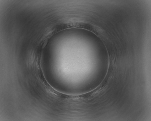 X0000053161060200507111501