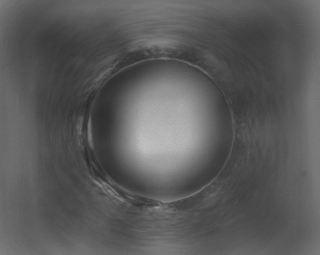 X0000053161061200507111501