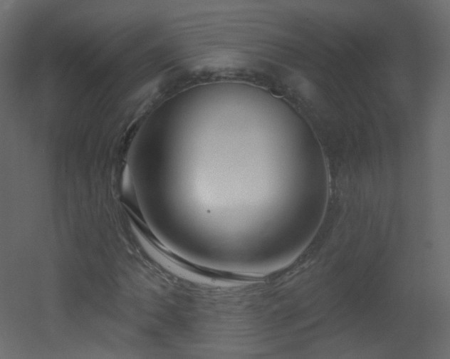 X0000053161062200507111501
