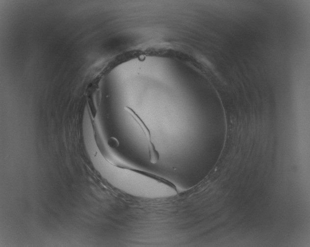 X0000053161063200507111501