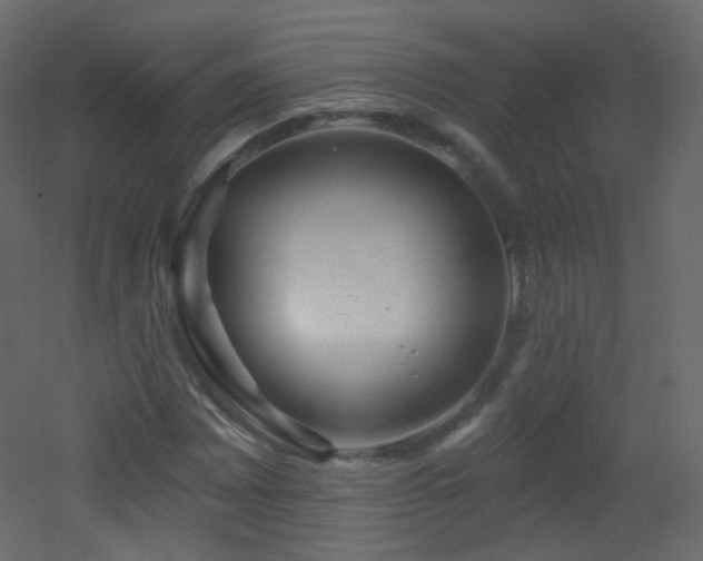 X0000053161065200507111501
