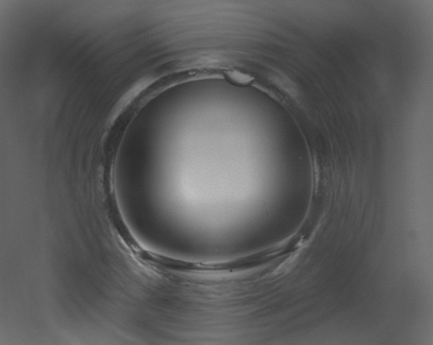 X0000053161066200507111501