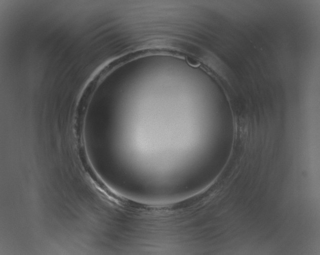 X0000053161068200507111501