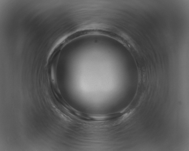 X0000053161069200507111501