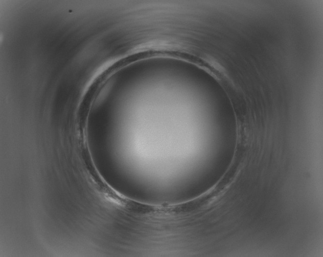 X0000053161070200507111501