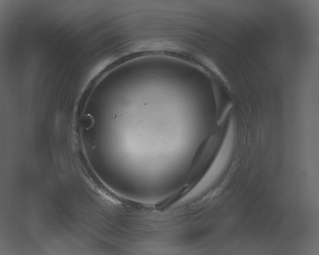 X0000053161071200507111501
