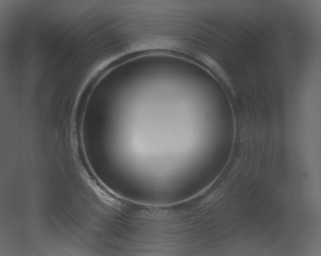 X0000053161072200507111501
