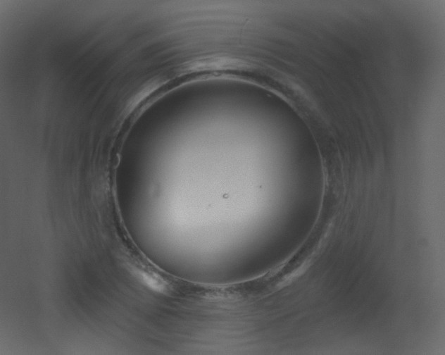 X0000053161073200507111501