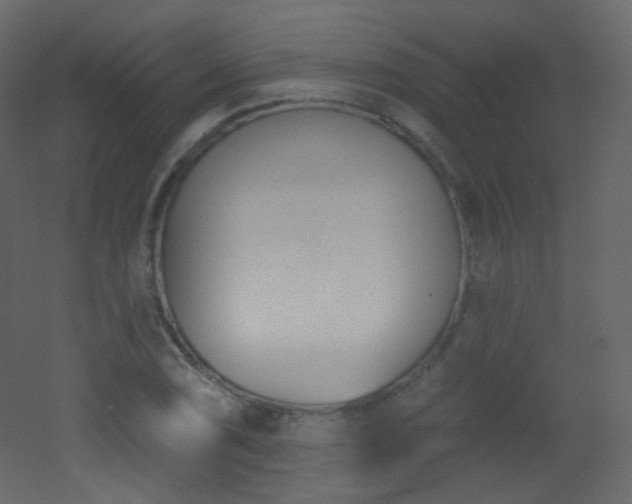 X0000053161074200507111501
