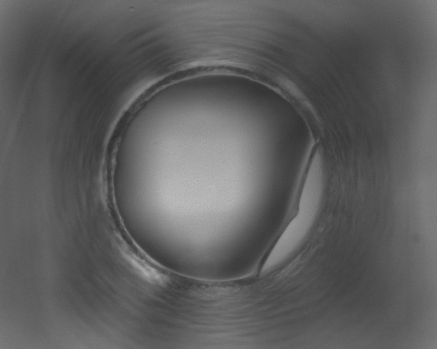 X0000053161076200507111501