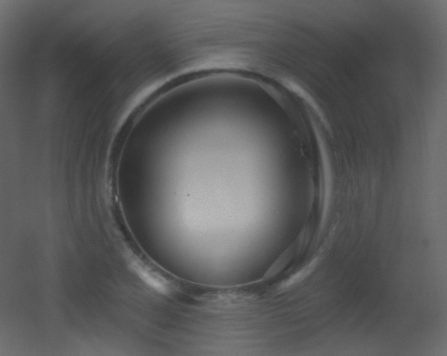 X0000053161077200507111501