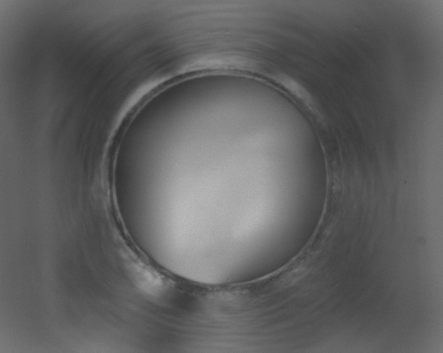 X0000053161078200507111501
