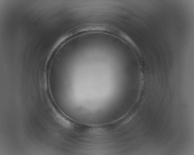 X0000053161079200507111501