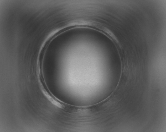 X0000053161080200507111501