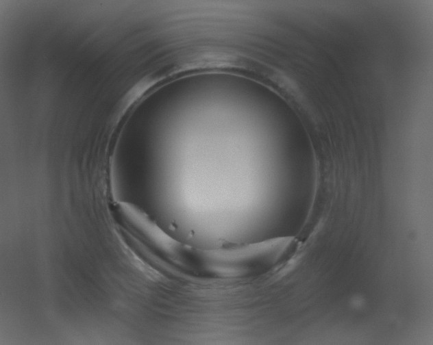 X0000053161081200507111501