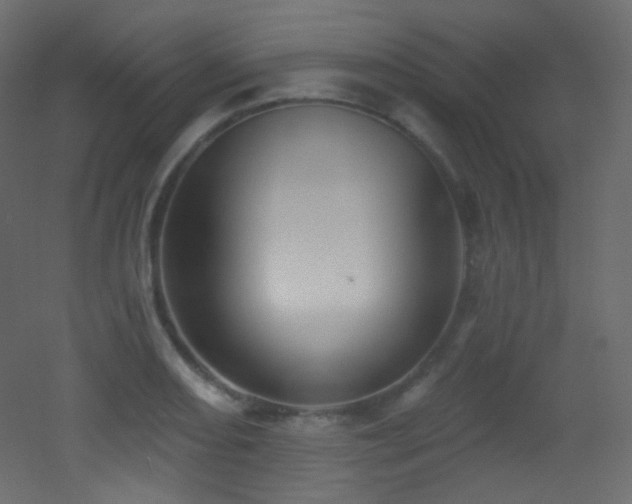 X0000053161082200507111501