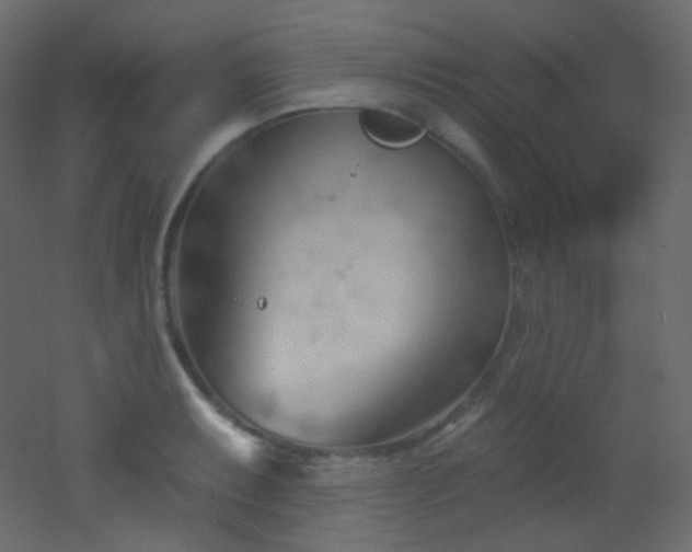 X0000053161087200507111501
