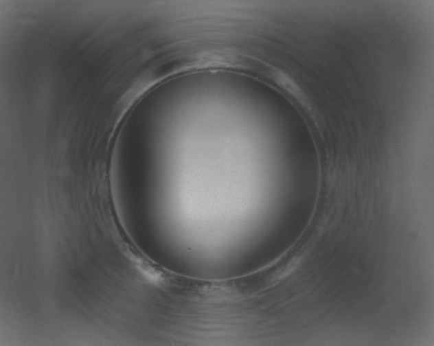 X0000053161089200507111501