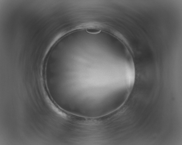 X0000053161091200507111501
