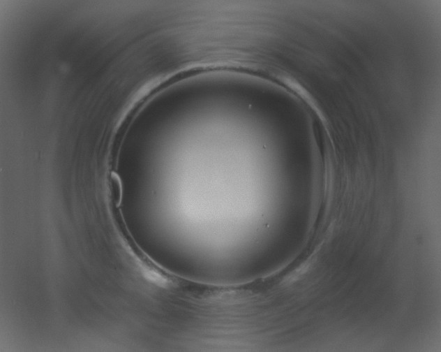 X0000053161093200507111501