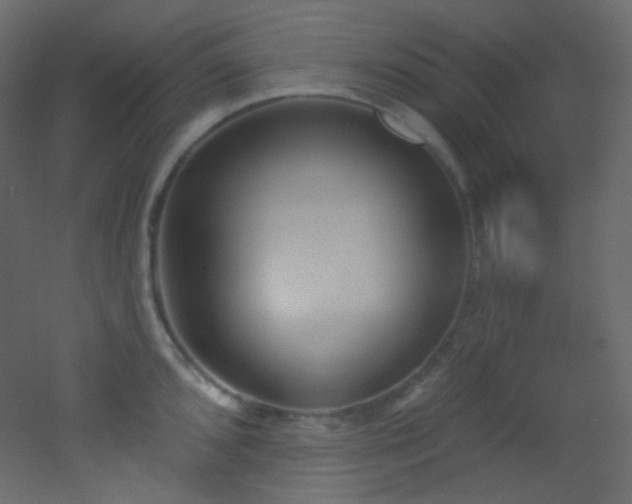 X0000053161096200507111501