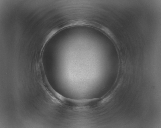X0000053161097200507111501