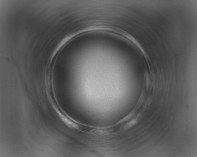 X0000053161101200507111501