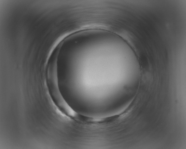 X0000053161102200507111501