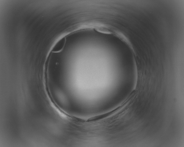 X0000053161103200507111501