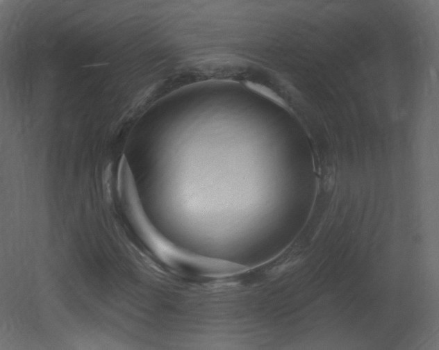 X0000053161108200507111500