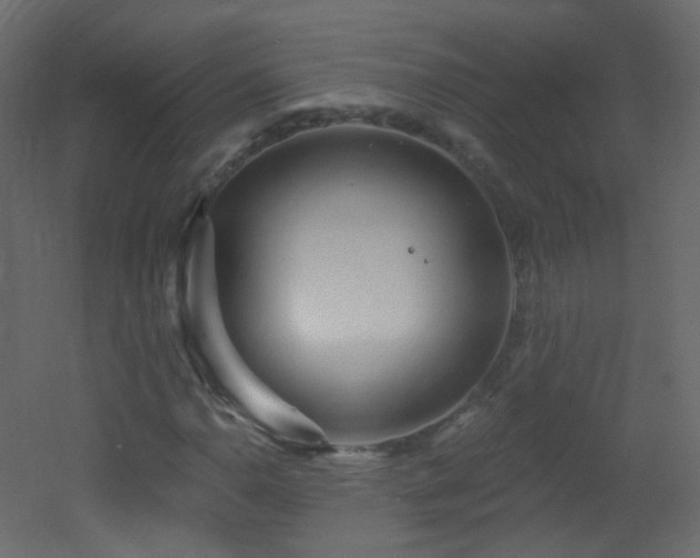 X0000053161110200507111500