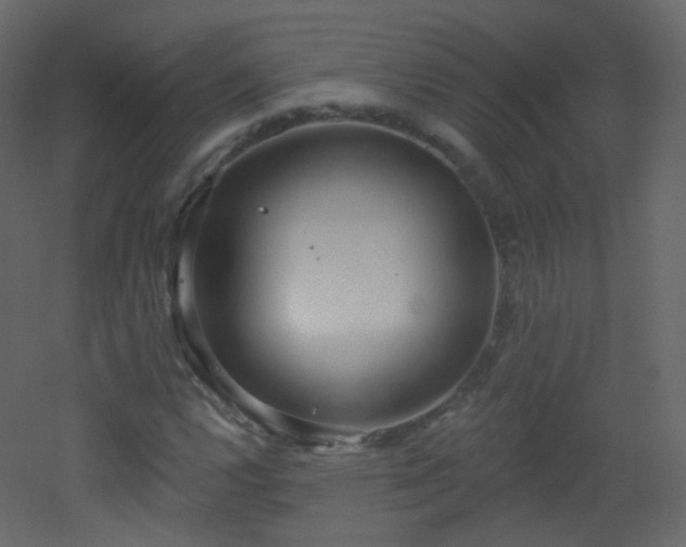 X0000053161112200507111500