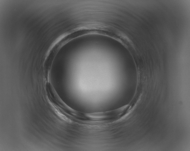 X0000053161114200507111500