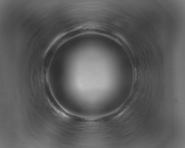 X0000053161115200507111500