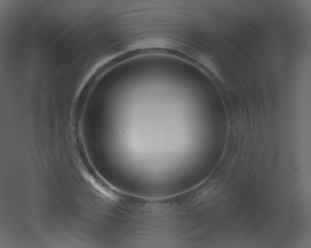 X0000053161116200507111500