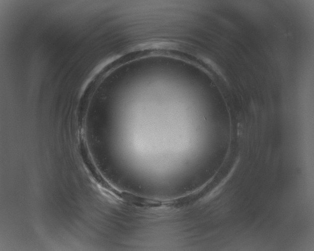 X0000053161117200507111500
